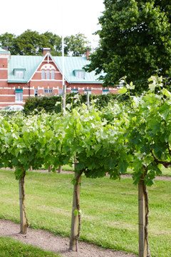 Vinslottet på Margretetorp